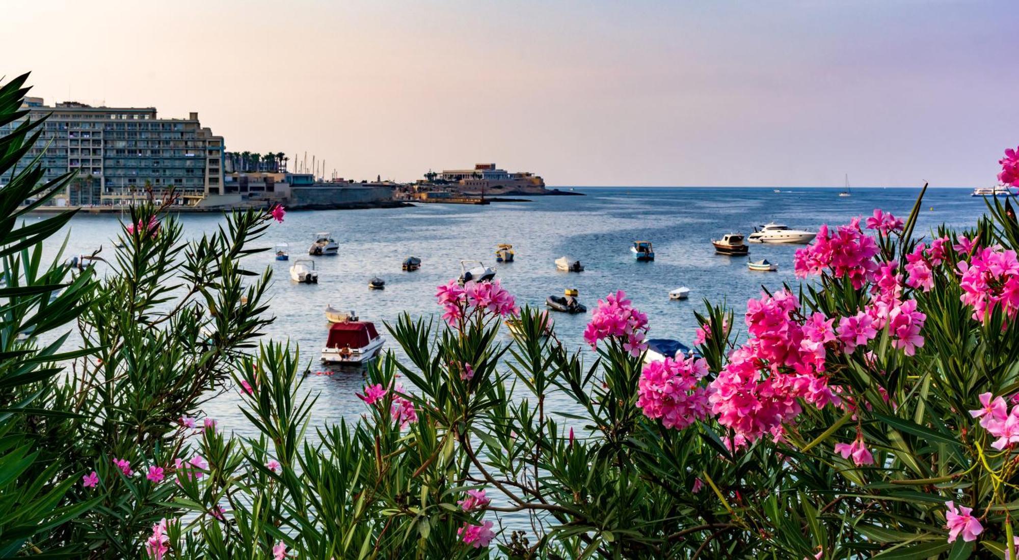 La88 Cityway Penthouse * Gzira
